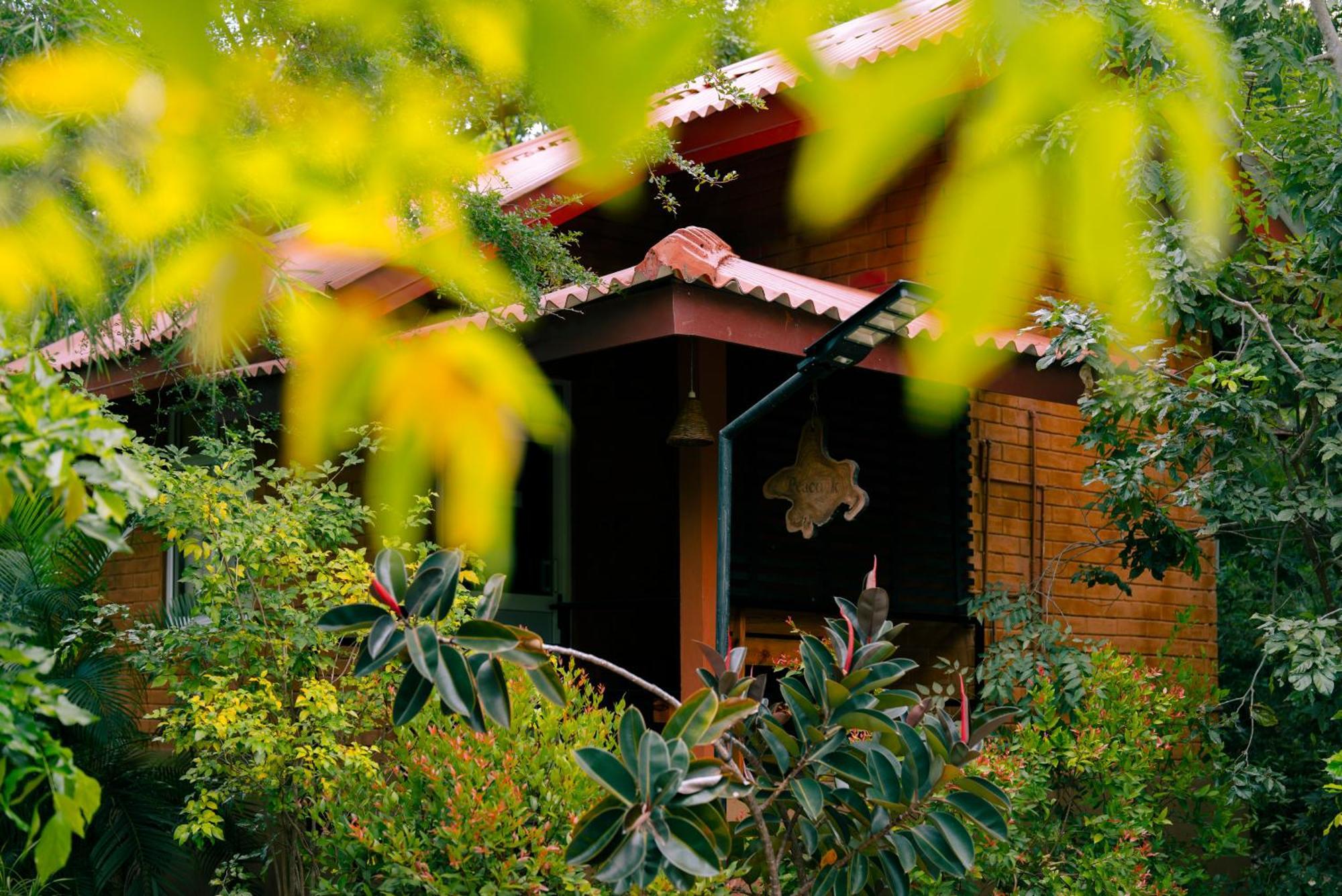 Safari Lodge Yala Kataragama Exterior foto