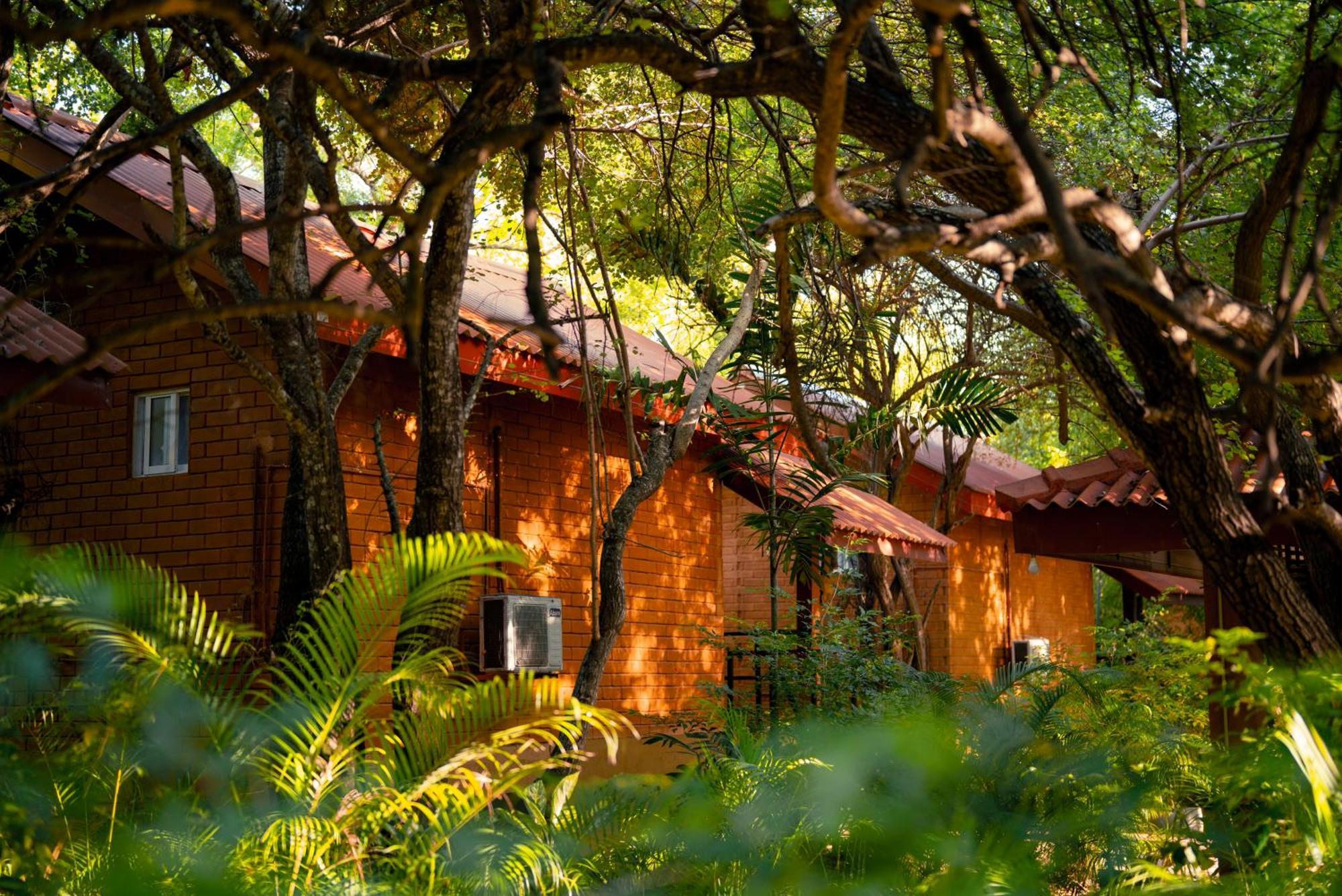 Safari Lodge Yala Kataragama Exterior foto