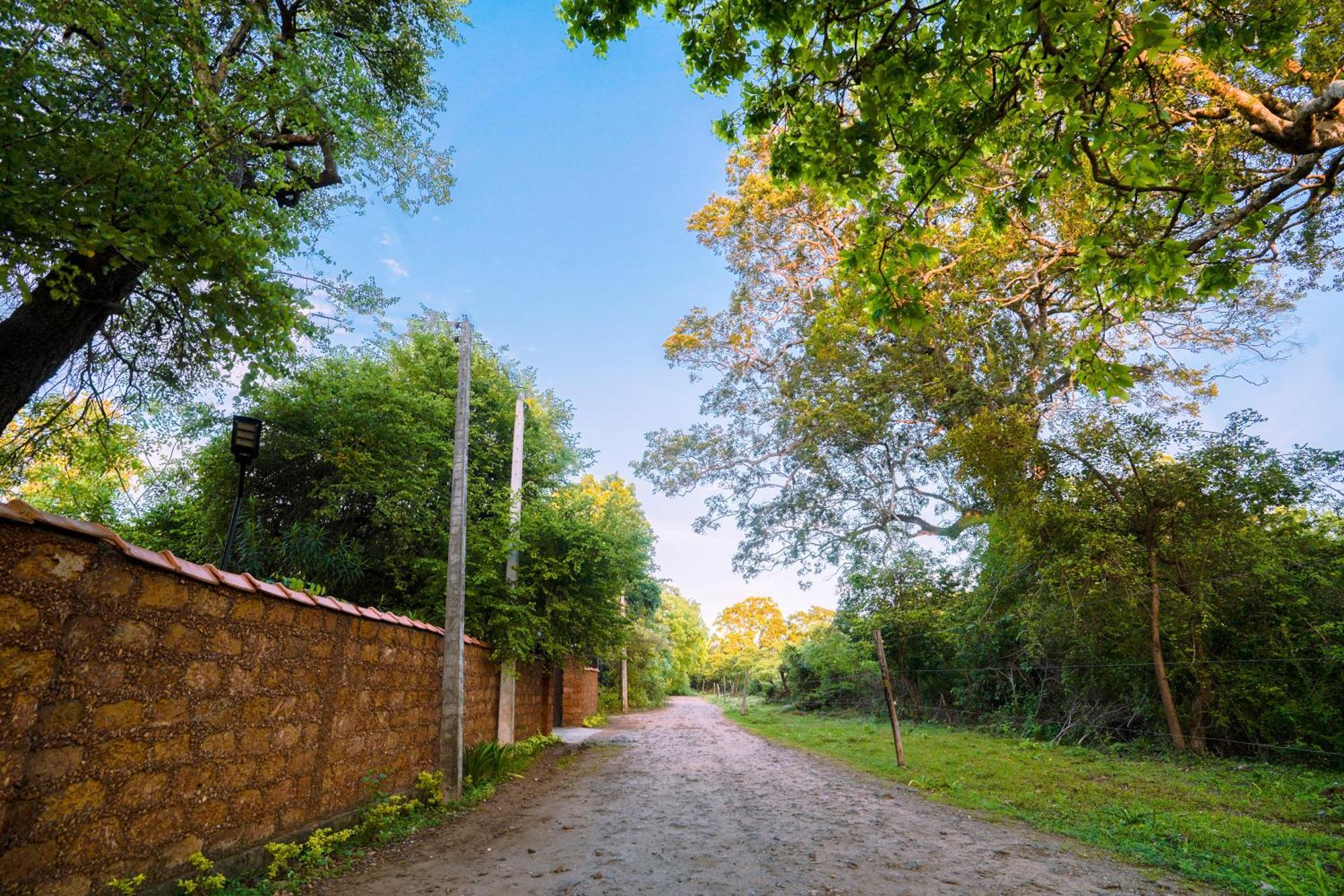 Safari Lodge Yala Kataragama Exterior foto